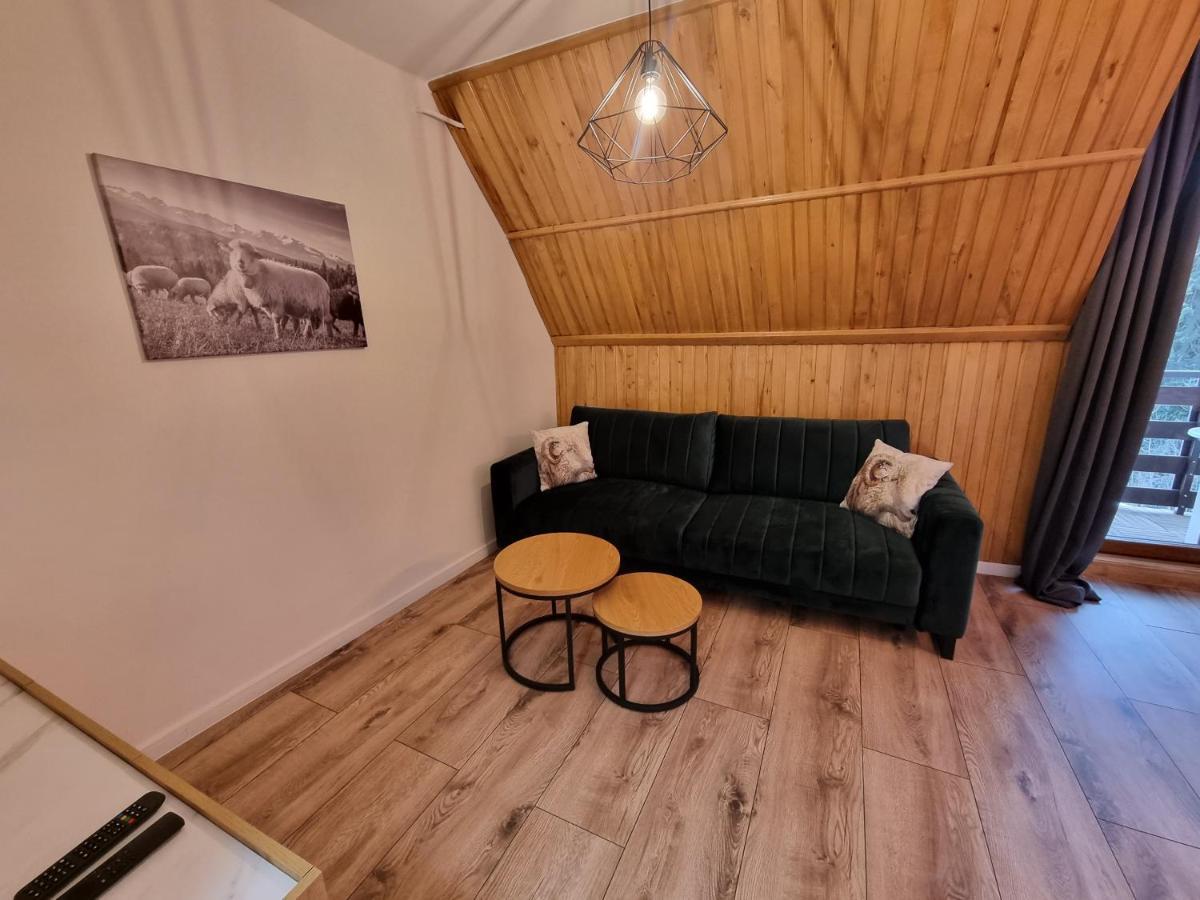 Apartament Klasyczny Z Widokiem Na Giewont 코스실리스코 외부 사진