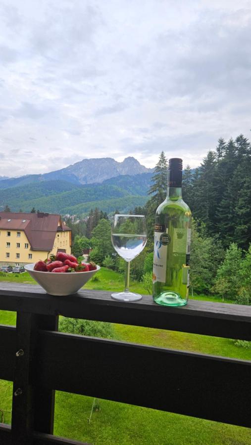 Apartament Klasyczny Z Widokiem Na Giewont 코스실리스코 외부 사진